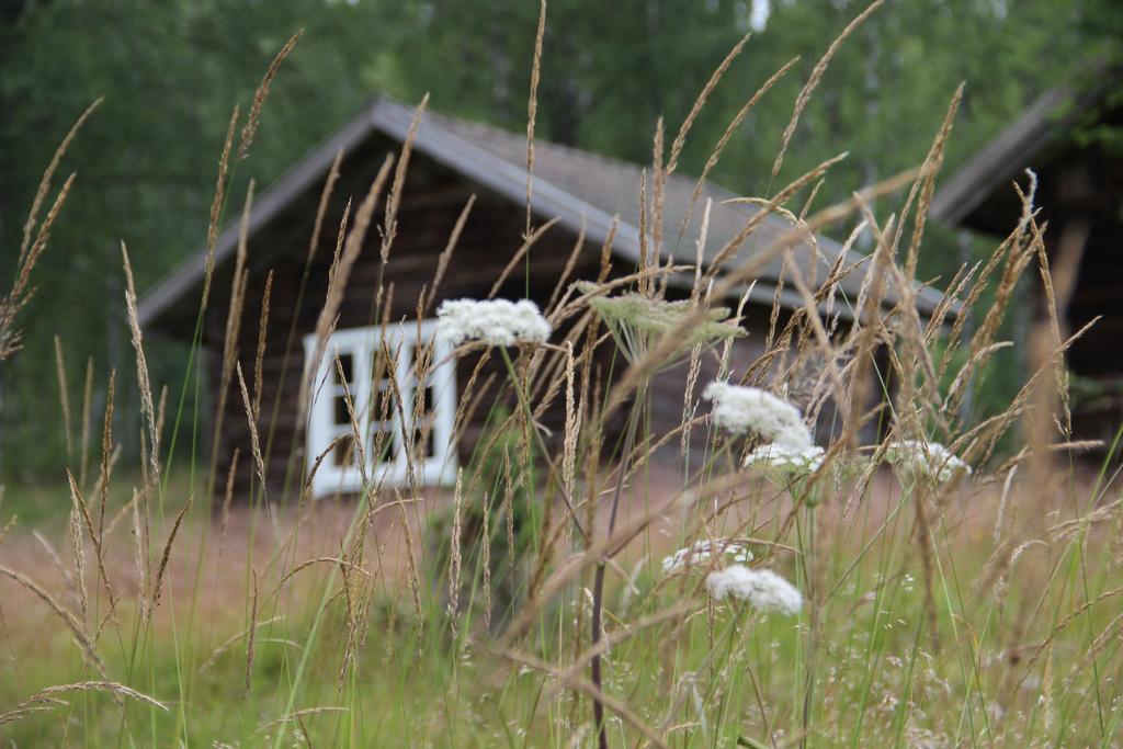 Apartmán Lovas Gard Koppera Charlottenberg Exteriér fotografie