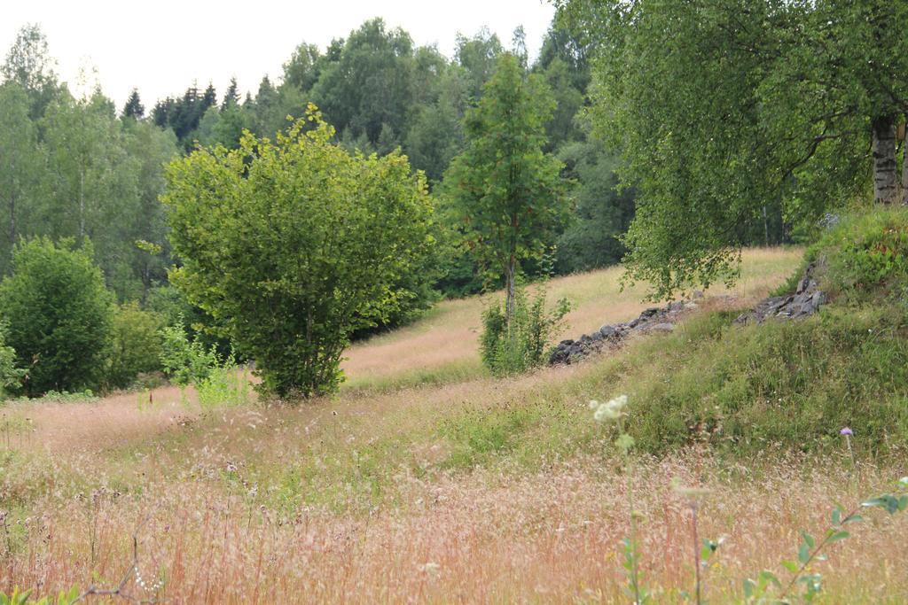 Apartmán Lovas Gard Koppera Charlottenberg Exteriér fotografie