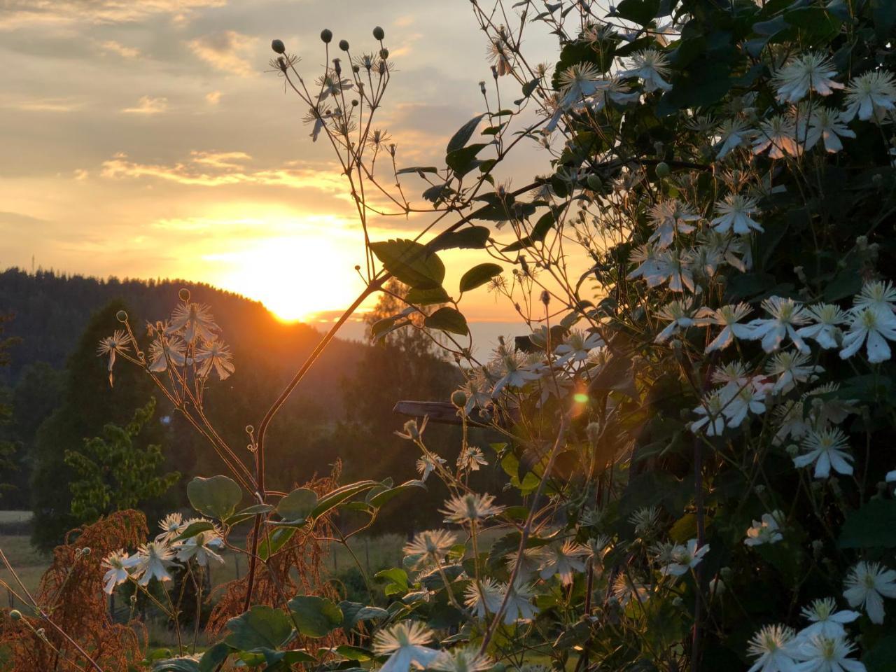 Apartmán Lovas Gard Koppera Charlottenberg Exteriér fotografie